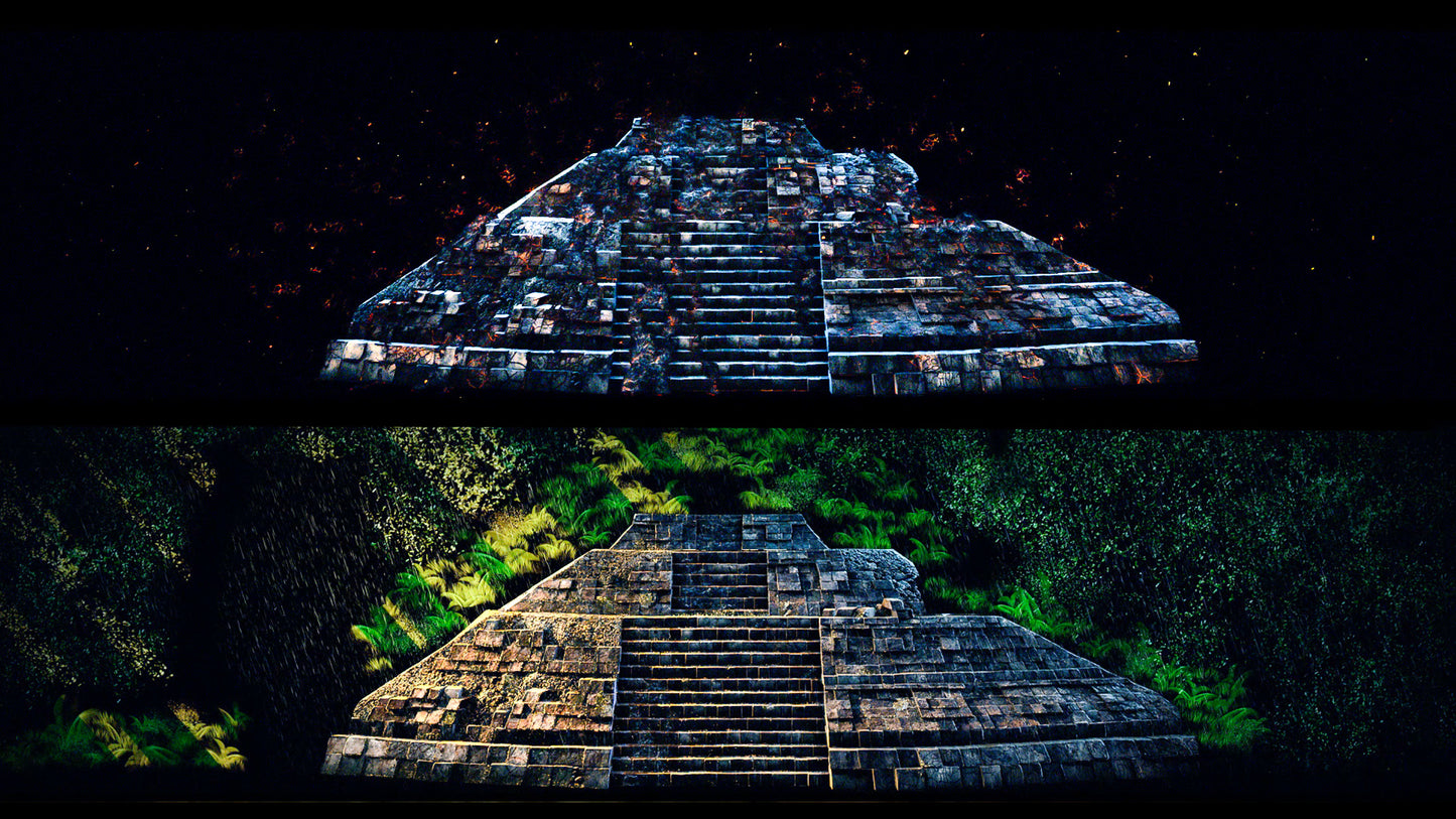 Rhythms of the Night - SAVIA