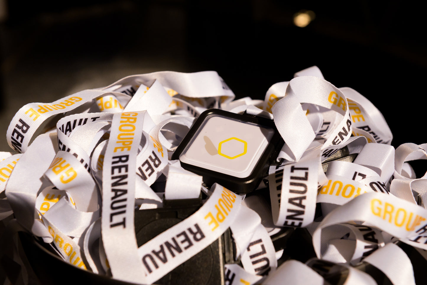 At The Heart of Performance, Groupe Renault