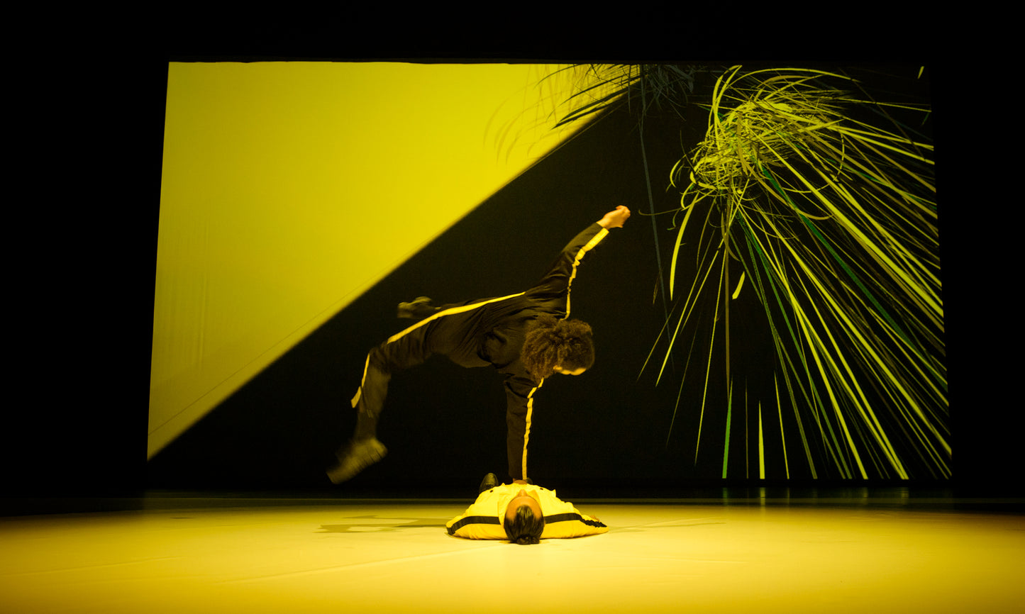 At The Heart of Performance, Groupe Renault