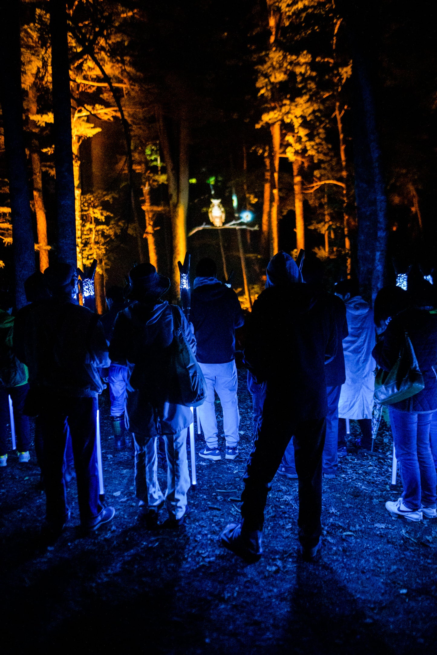 Kamuy Lumina (カムイルミナ)