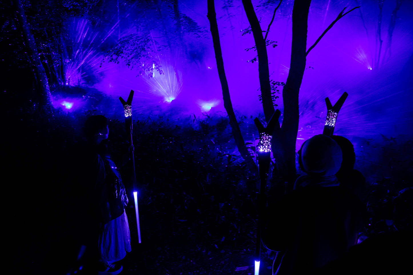 Kamuy Lumina (カムイルミナ)