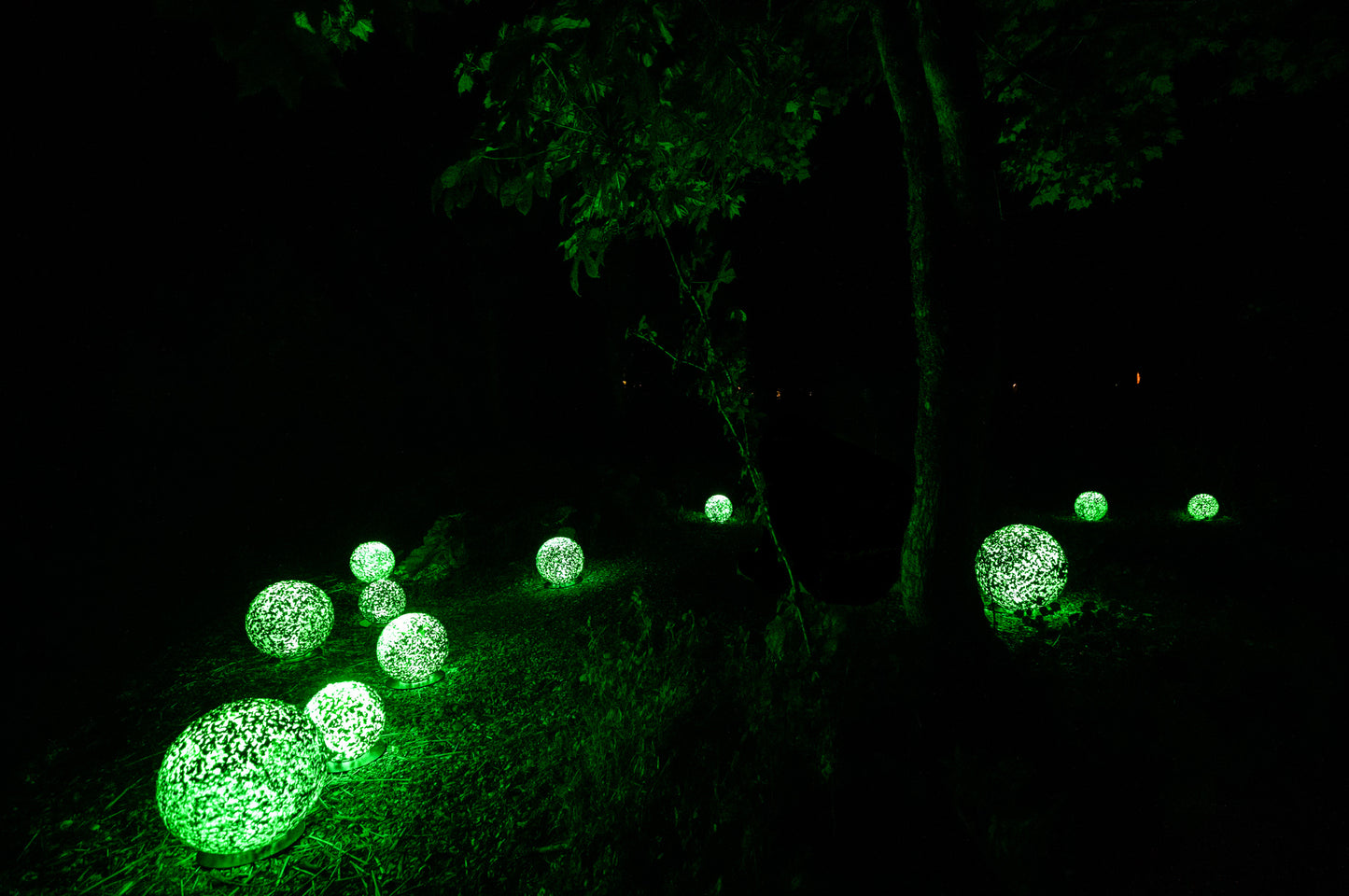 Kamuy Lumina (カムイルミナ)