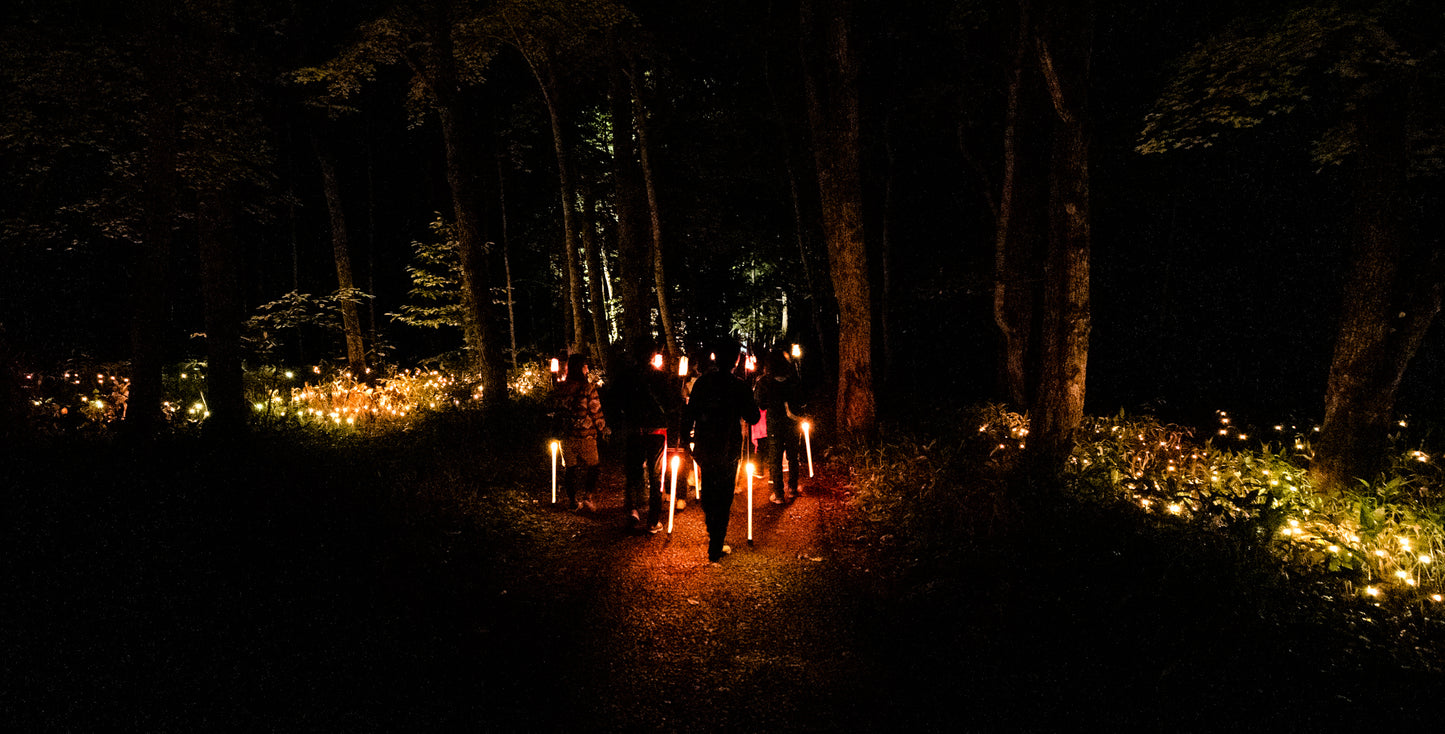 Kamuy Lumina (カムイルミナ)