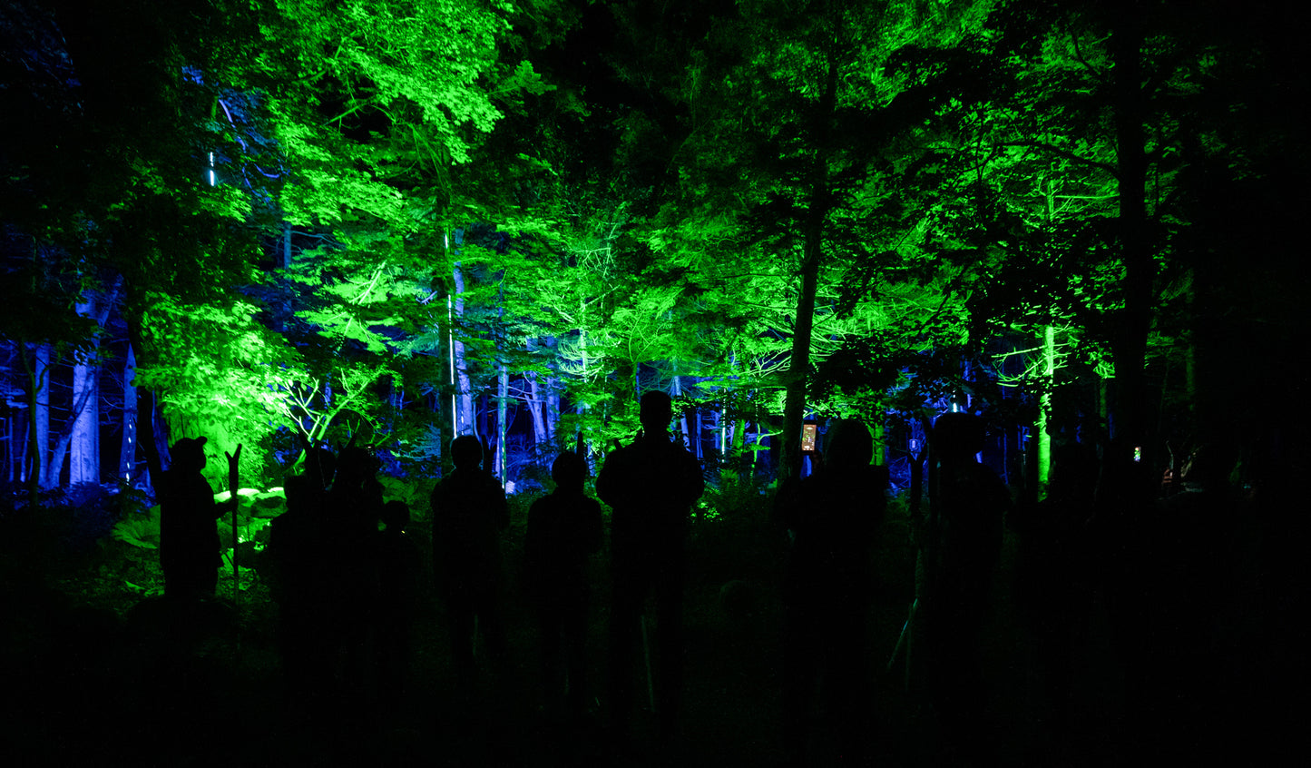 Kamuy Lumina (カムイルミナ)