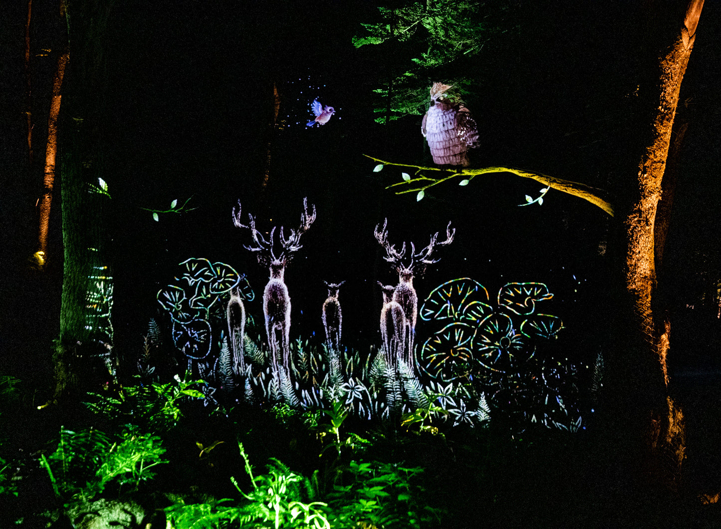 Kamuy Lumina (カムイルミナ)