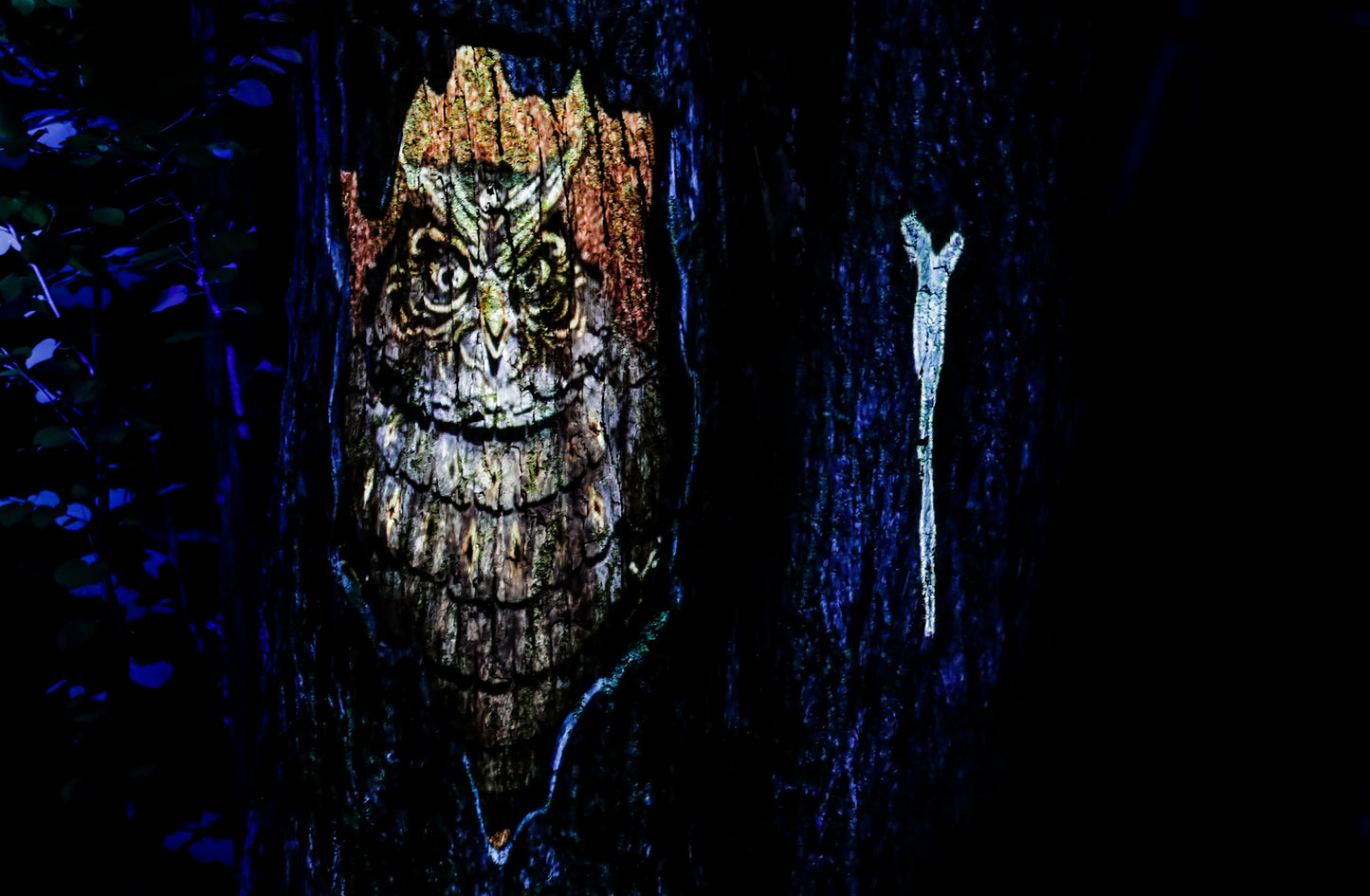 Kamuy Lumina (カムイルミナ)