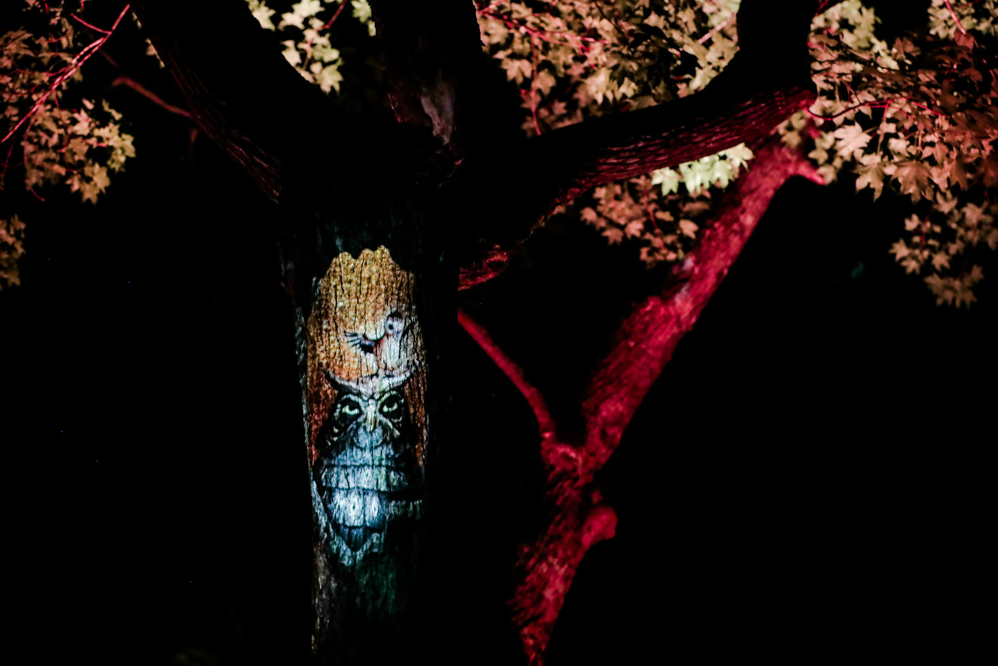 Kamuy Lumina (カムイルミナ)