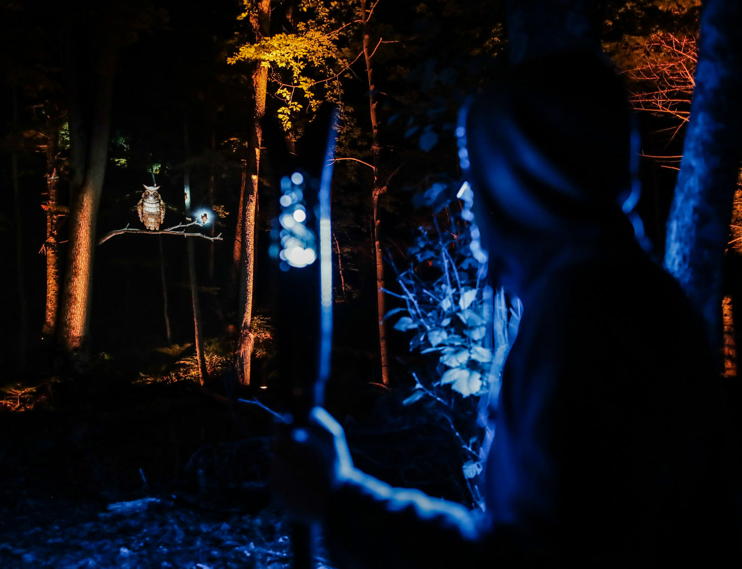 Kamuy Lumina (カムイルミナ)