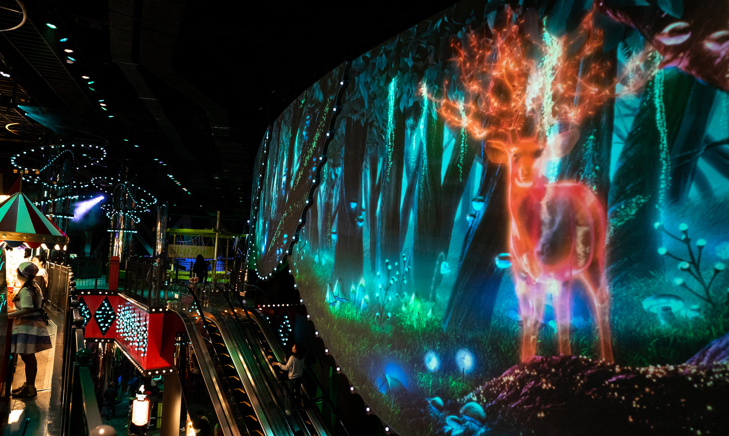 Wonderbox at Paradise City Korea