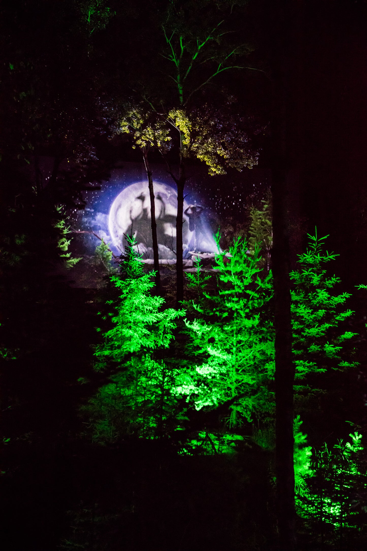 Anima Lumina
