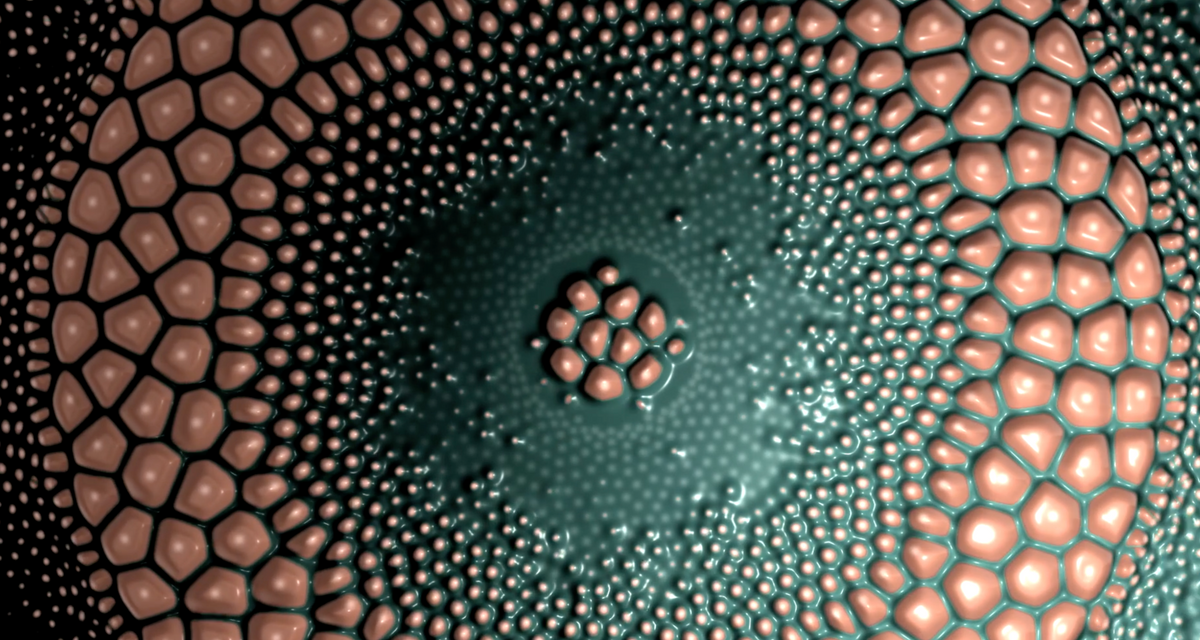 Tripophobic Nightmare