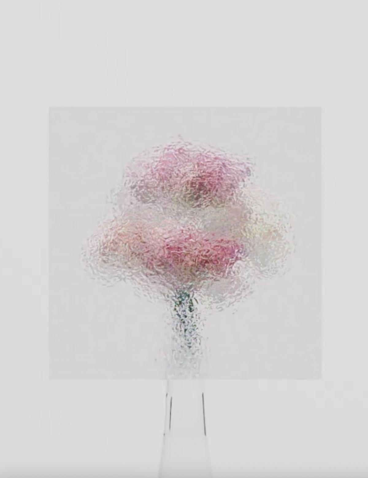 Soft Focus Bloom