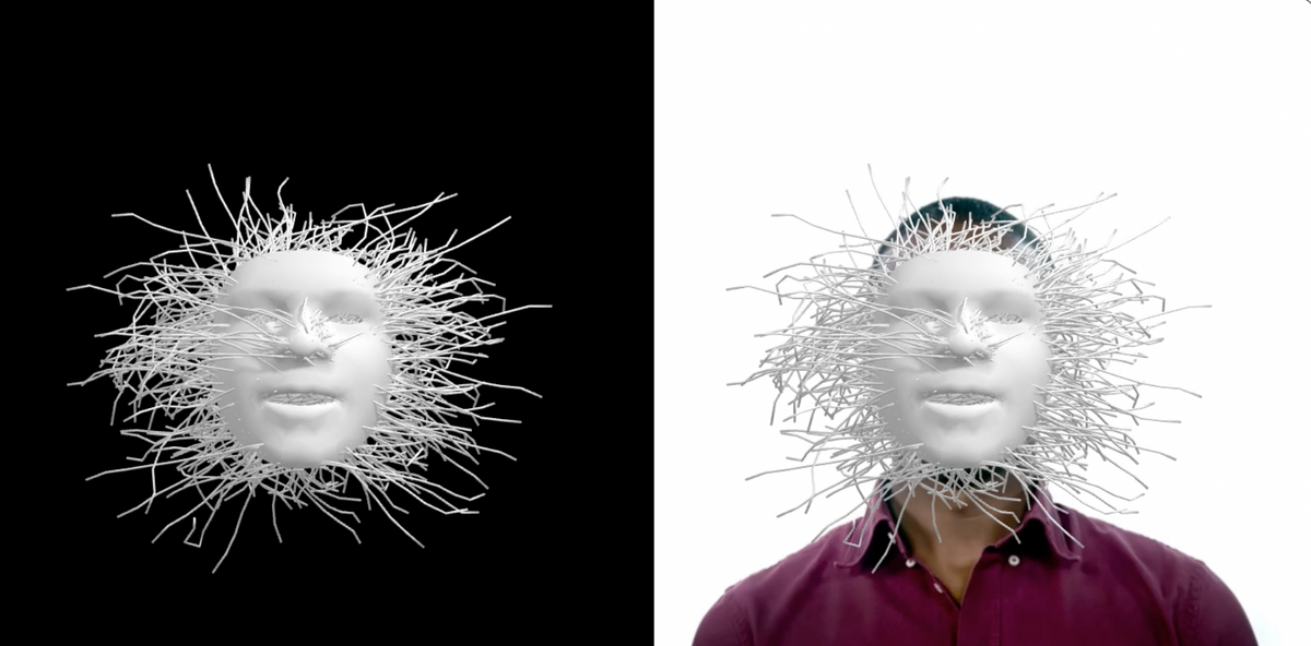 Face Landmark Detection