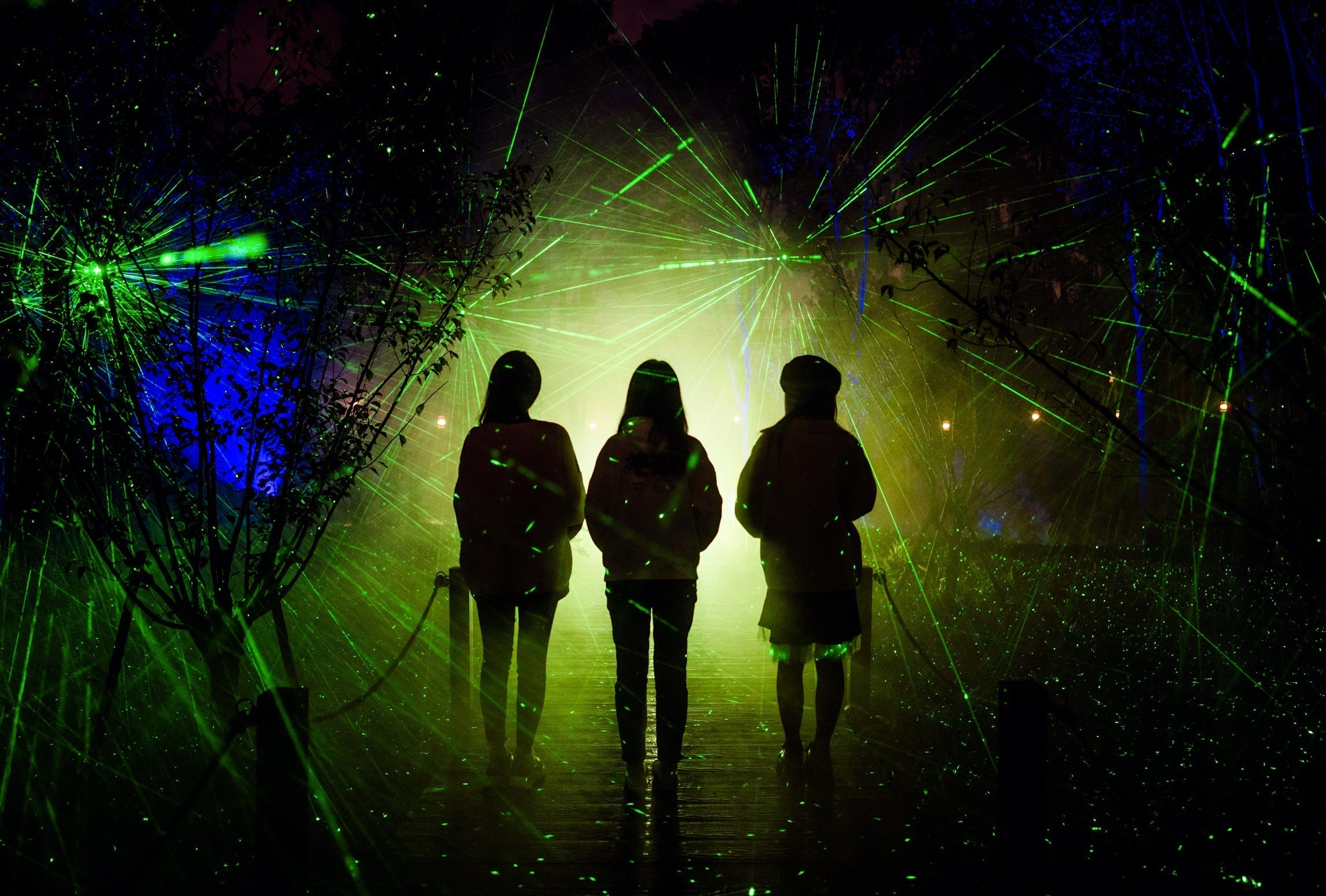 Moment Factory returns to Illuminate Adelaide with two original creations: Resonate & Mirror Mirror
