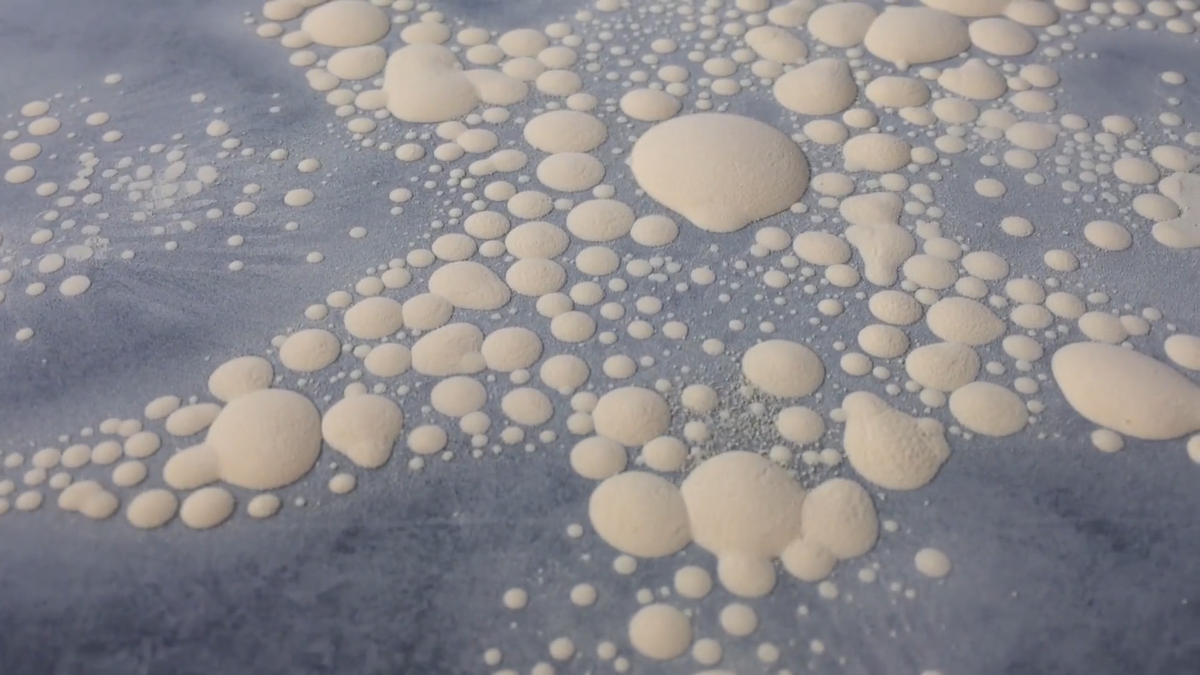 Cymatics Workshop