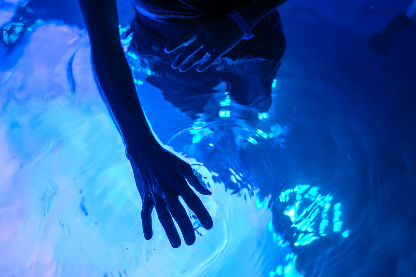 Les Abysses de Lumière at Aquascope