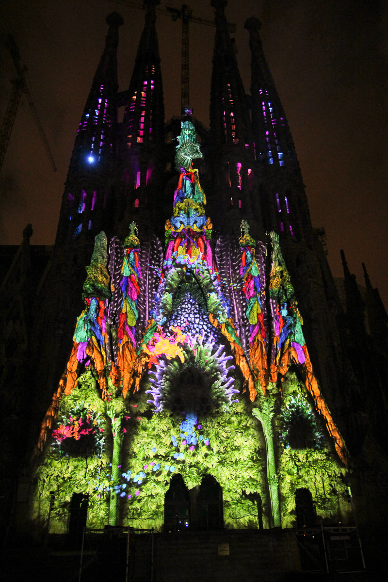 Ode à la vie à la Sagrada Familia