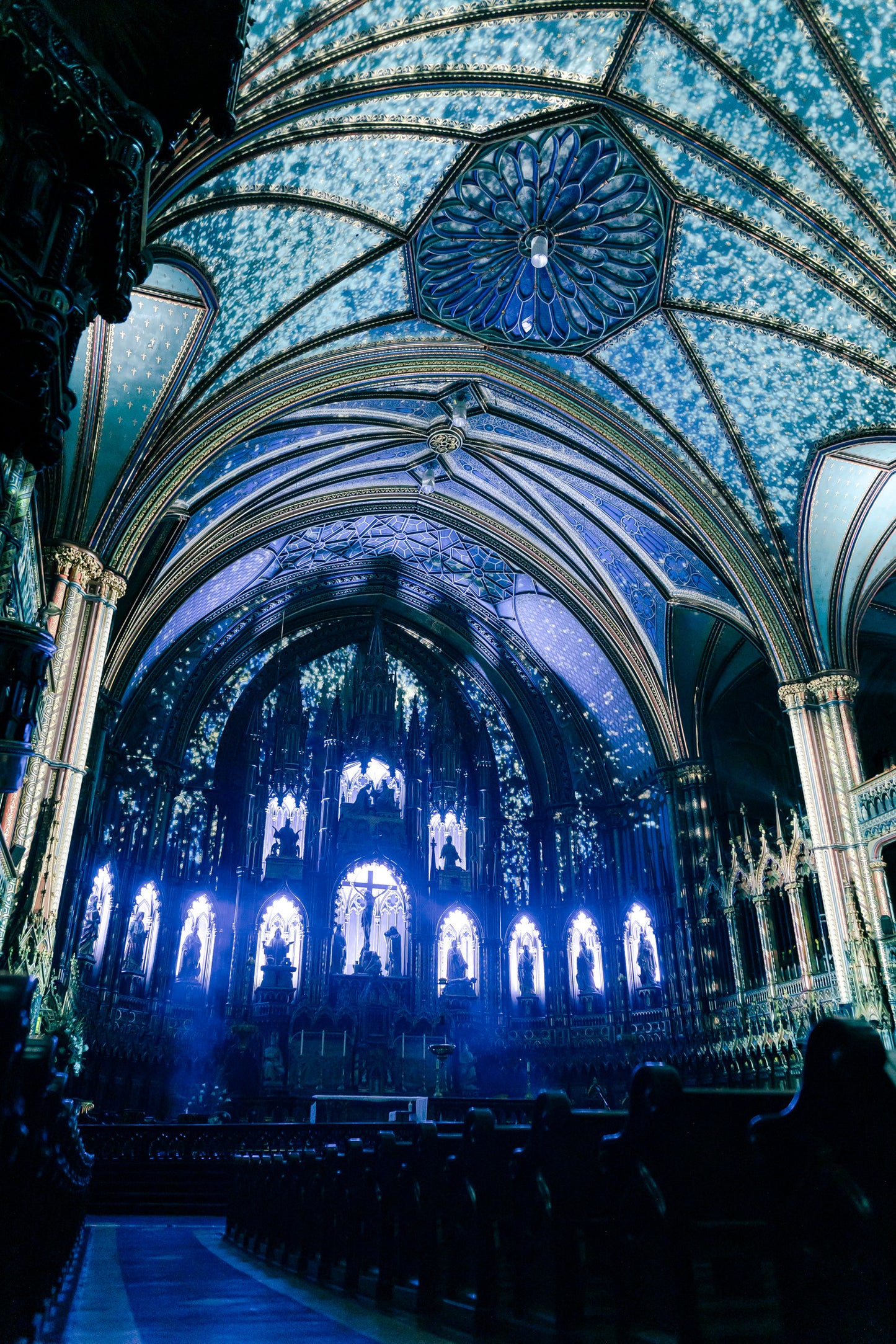 AURA at the Notre-Dame Basilica