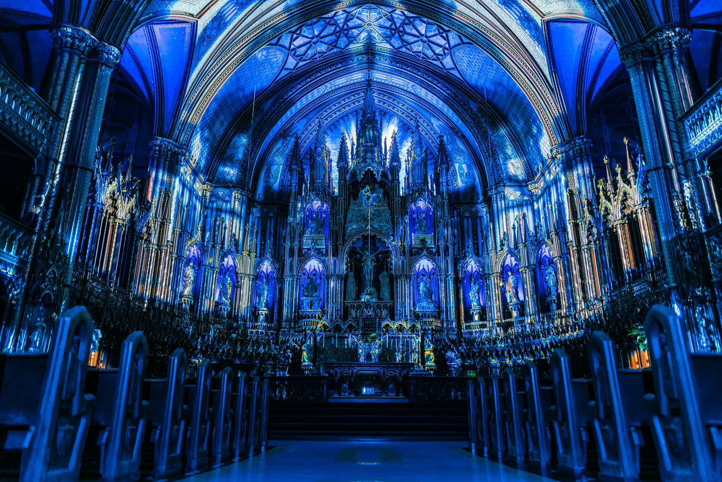 AURA at the Notre-Dame Basilica