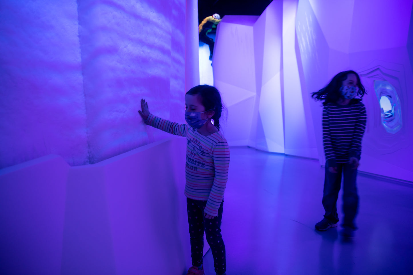 Arctic Adventure: An Immersive Exhibition