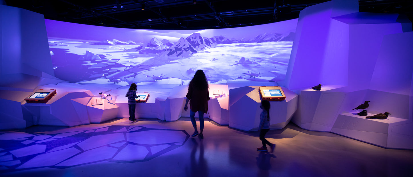 Arctic Adventure: An Immersive Exhibition