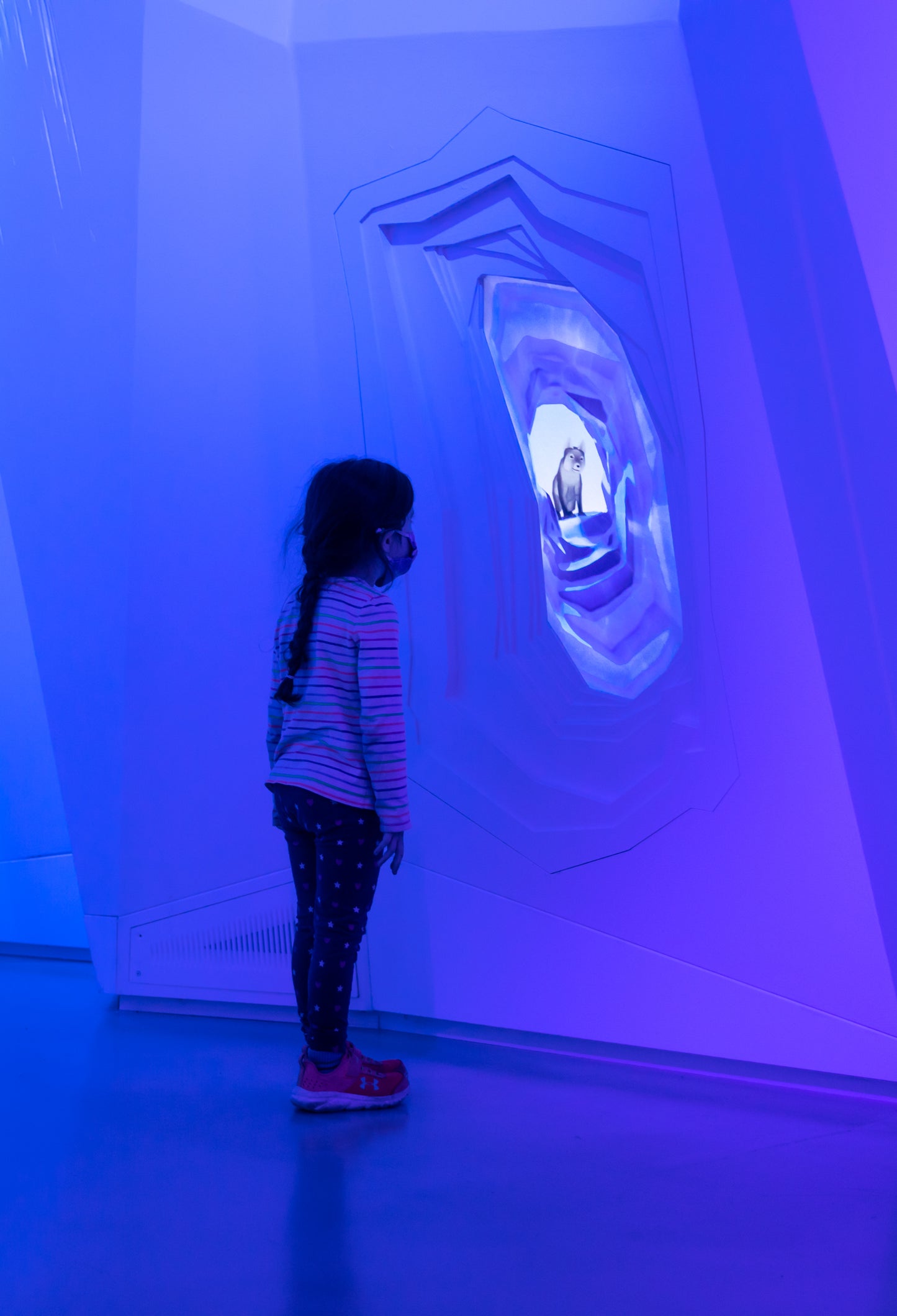 Arctic Adventure: An Immersive Exhibition