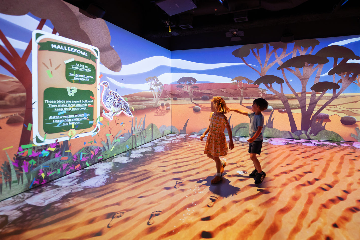 Geoverse, National Geographic Museum of Exploration
