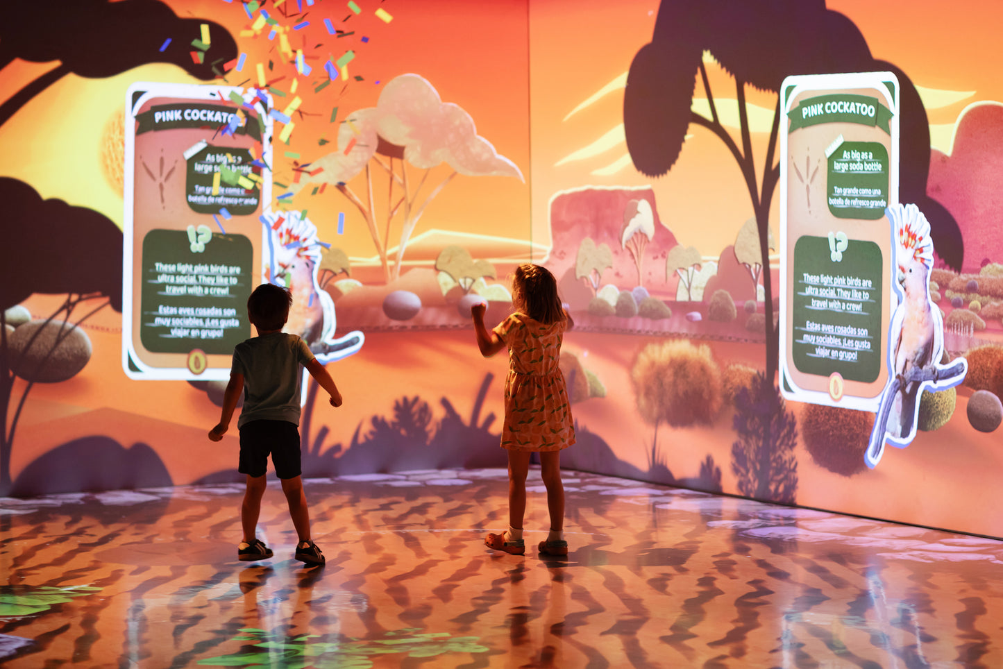 Geoverse, National Geographic Museum of Exploration