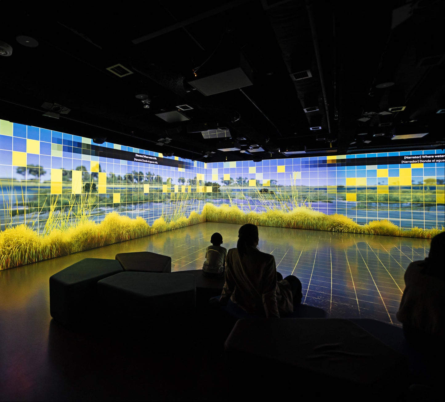 Geoverse, National Geographic Museum of Exploration