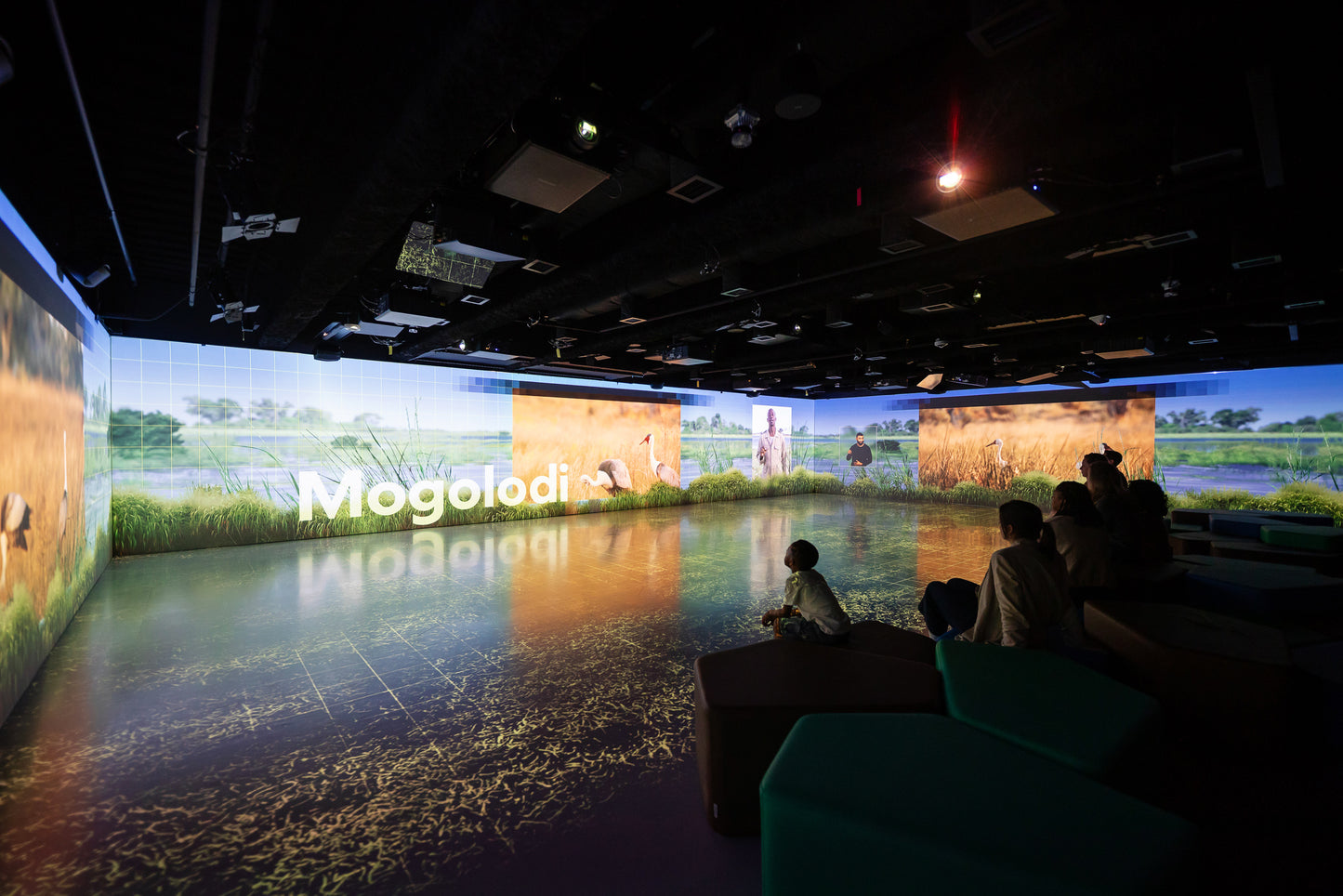 Geoverse, National Geographic Museum of Exploration
