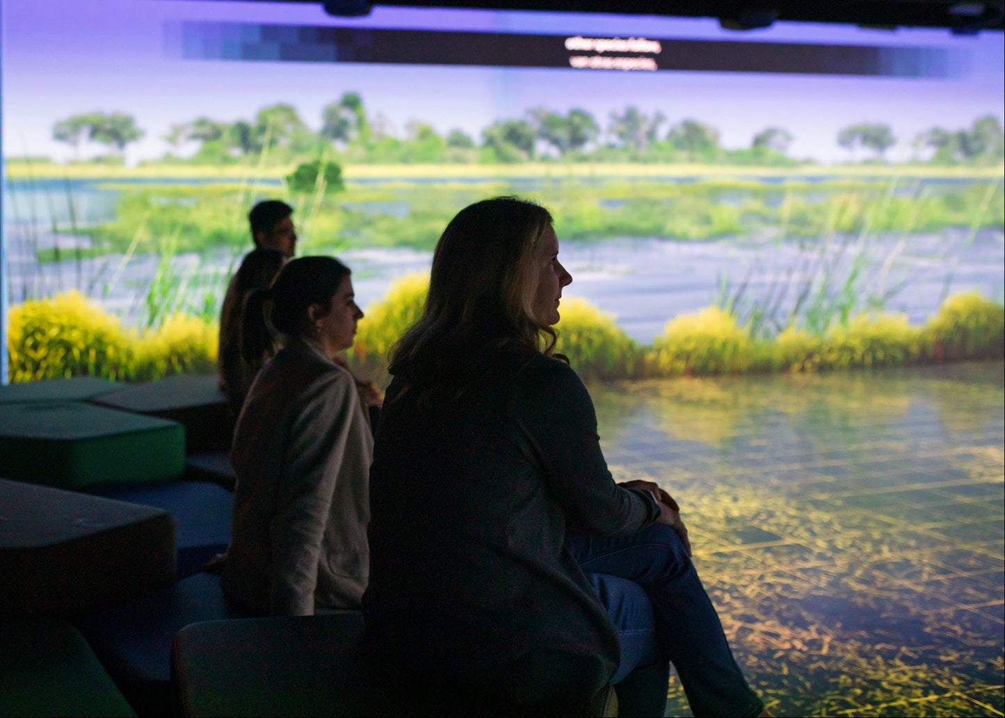 Geoverse, National Geographic Museum of Exploration