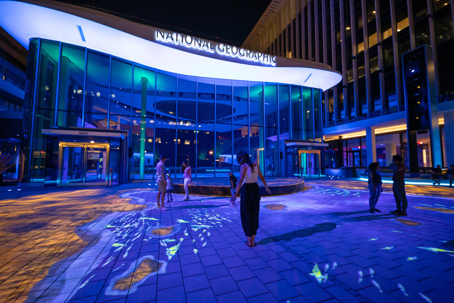 Wonders of Our World: Ocean, National Geographic Museum of Exploration
