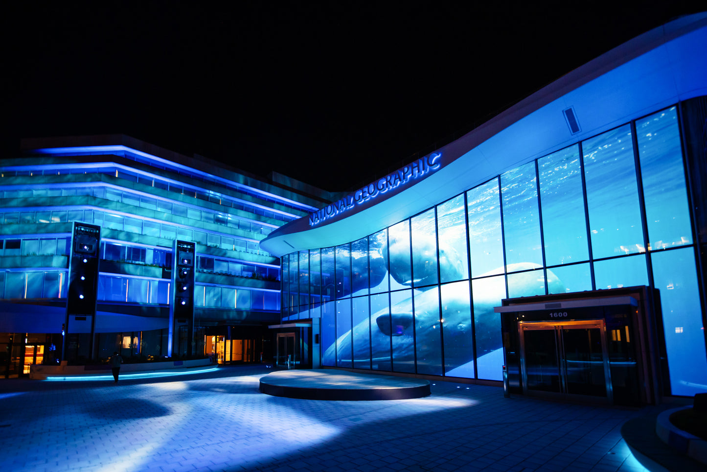 Wonders of Our World: Ocean, National Geographic Museum of Exploration