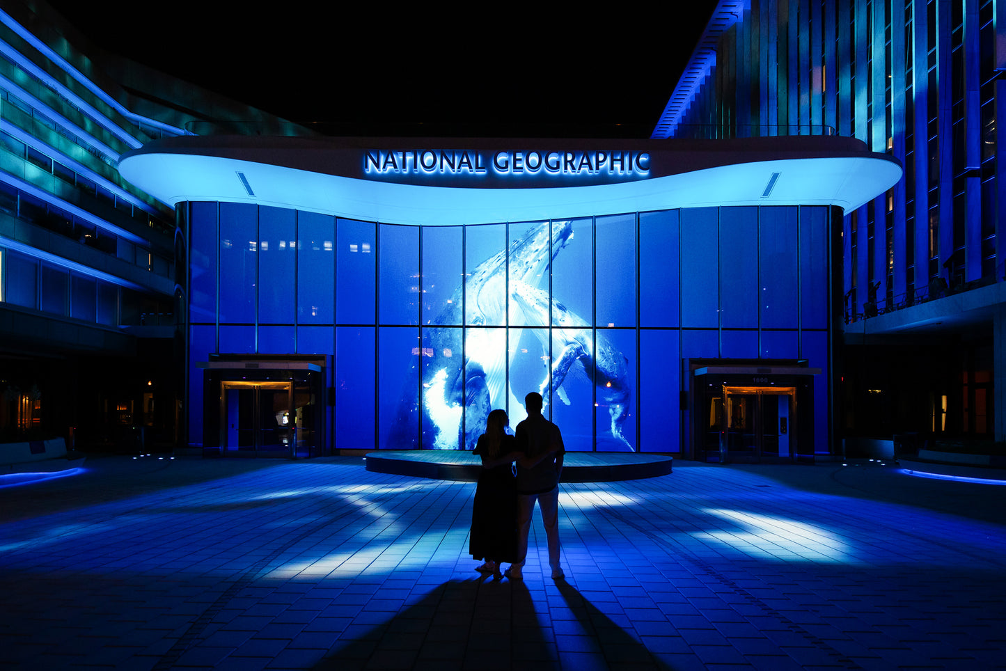 Wonders of Our World: Ocean, National Geographic Museum of Exploration