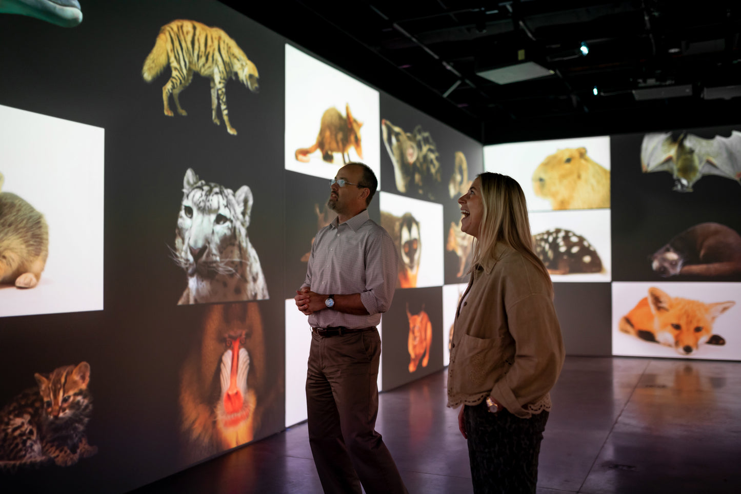 Photo Ark: Animals of Earth