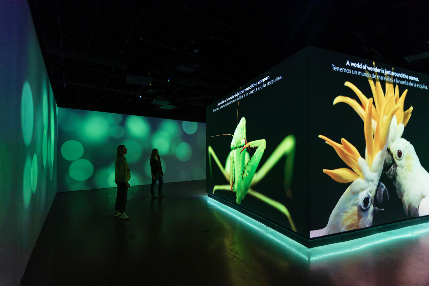 Photo Ark: Animals of Earth