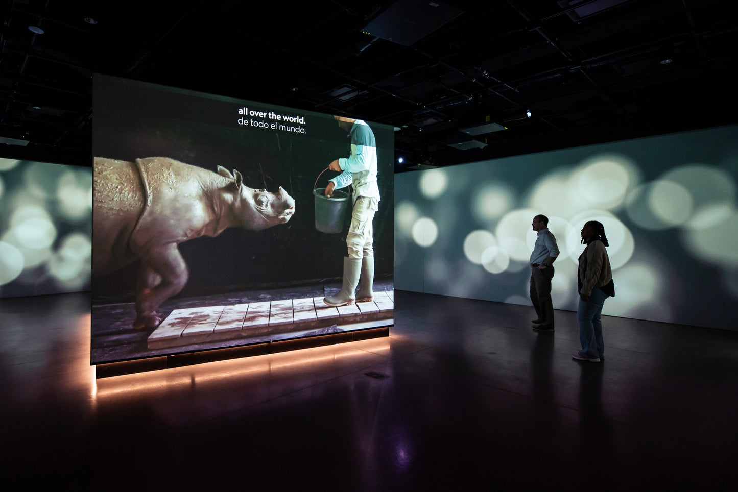 Photo Ark: Animals of Earth