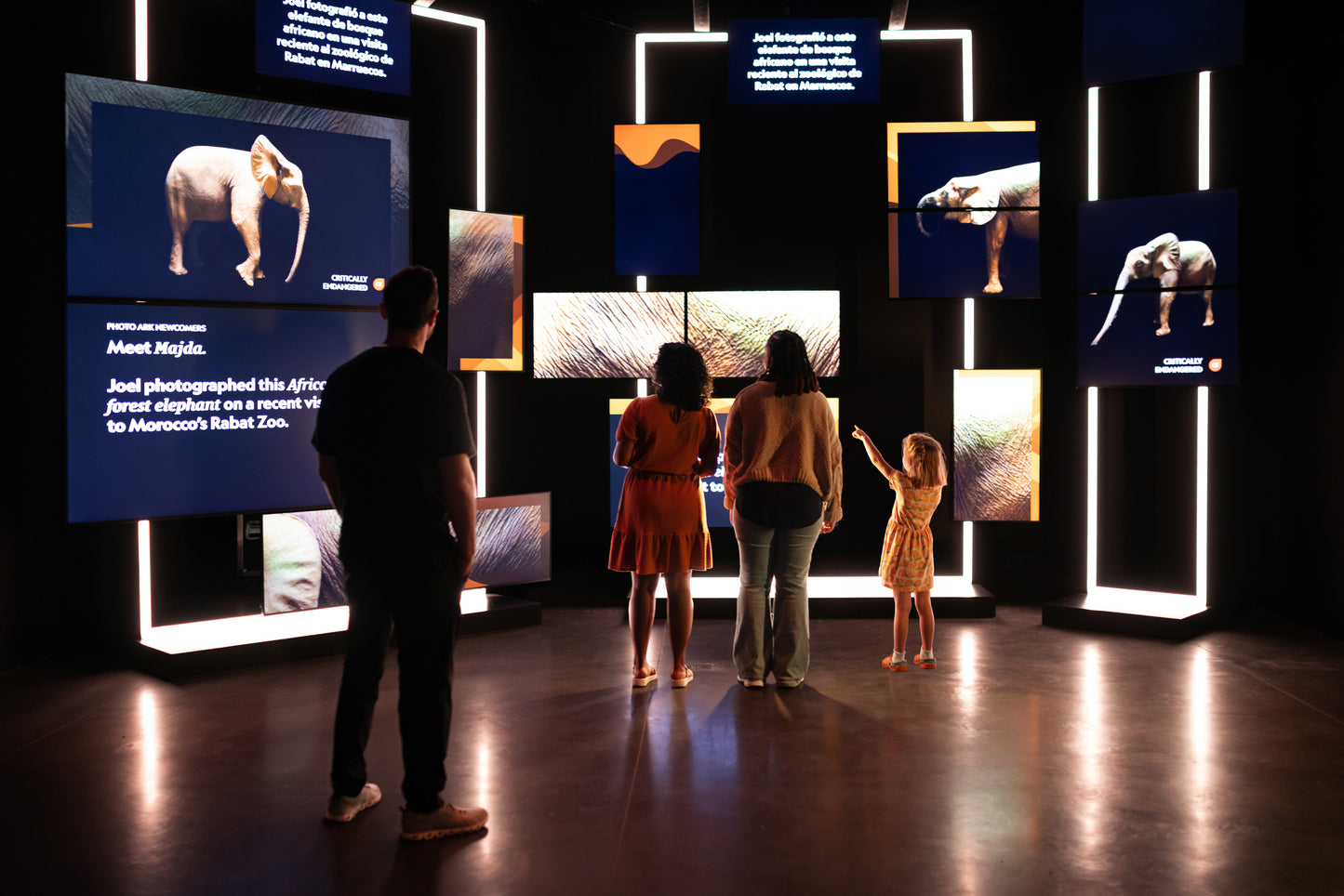Photo Ark: Animals of Earth