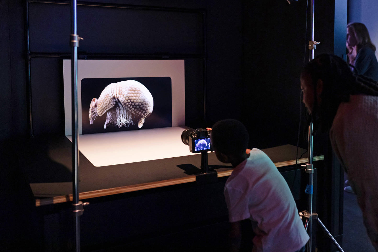 Photo Ark: Animals of Earth