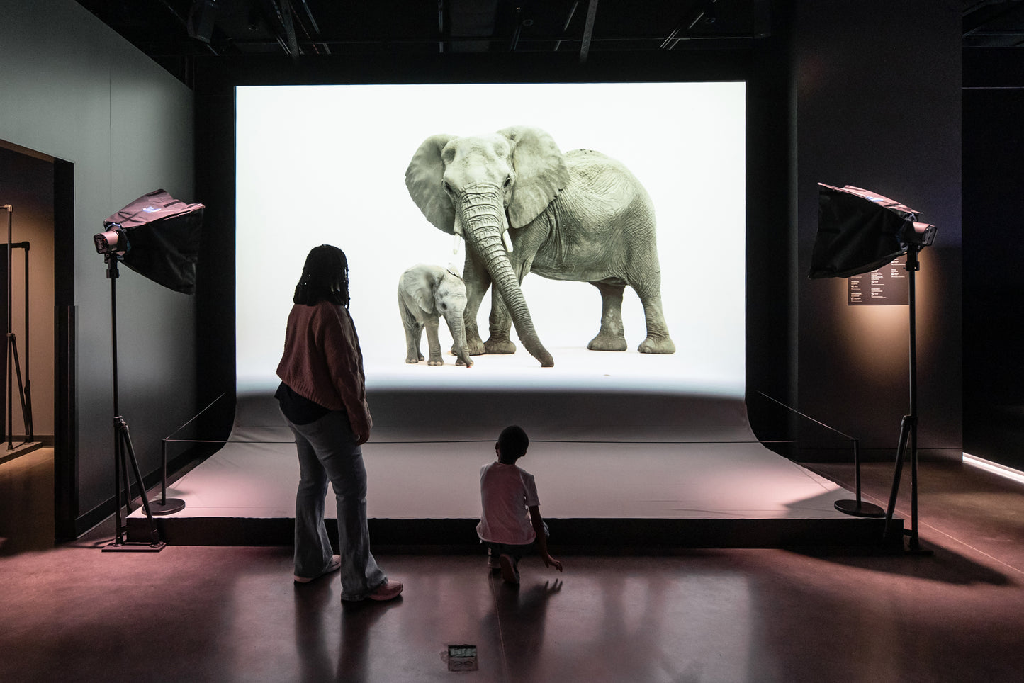 Photo Ark: Animals of Earth
