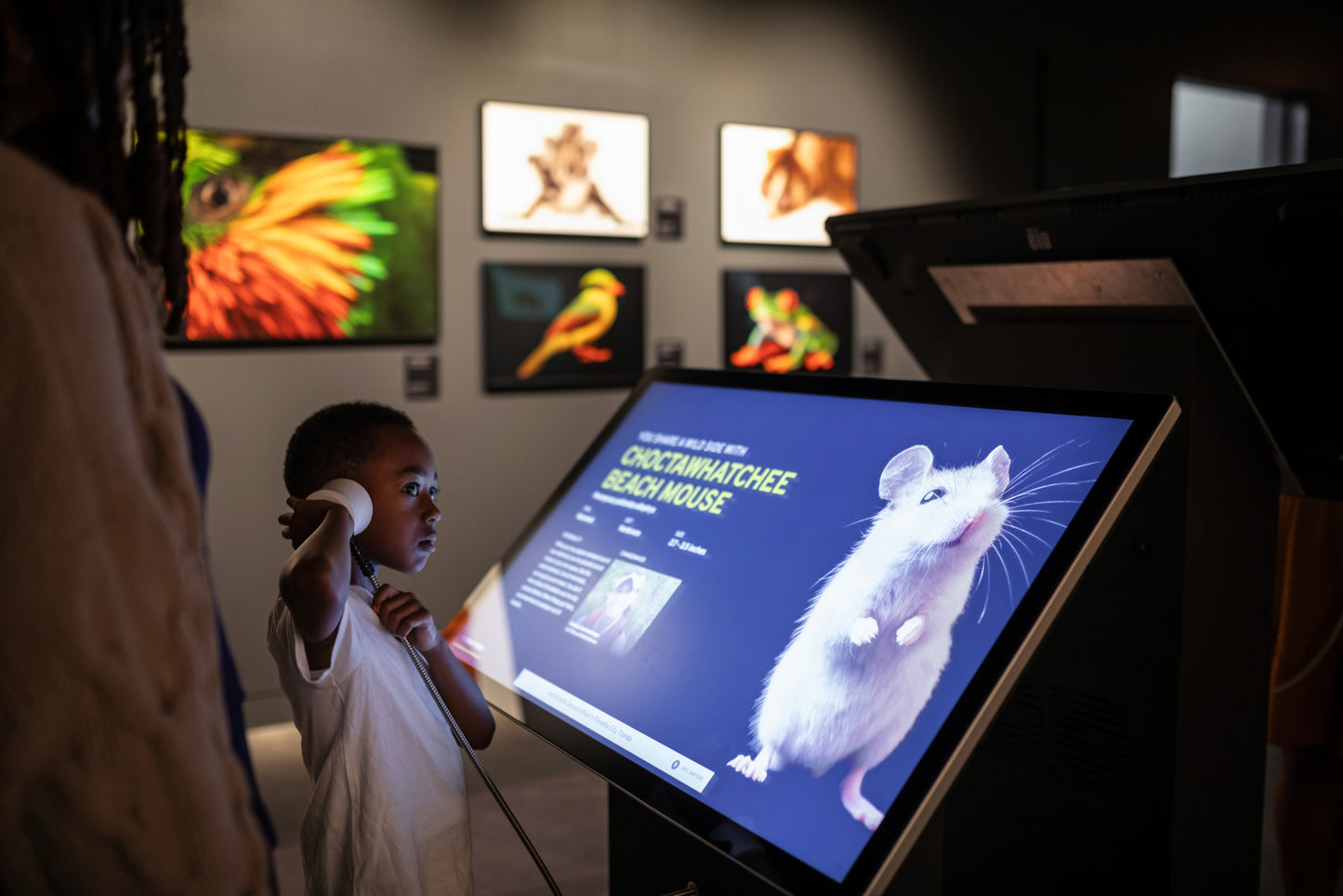 Photo Ark: Animals of Earth