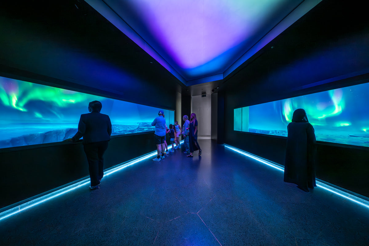 Natural History Museum Abu Dhabi