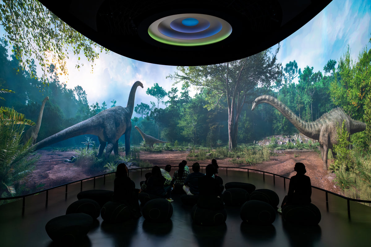 Natural History Museum Abu Dhabi: Life's Journey