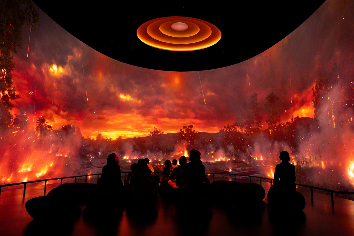 Natural History Museum Abu Dhabi: Life's Journey