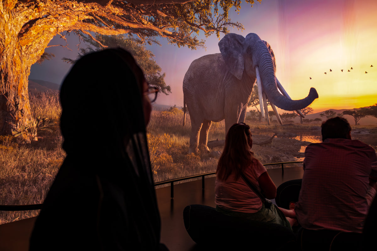 Natural History Museum Abu Dhabi: Life's Journey