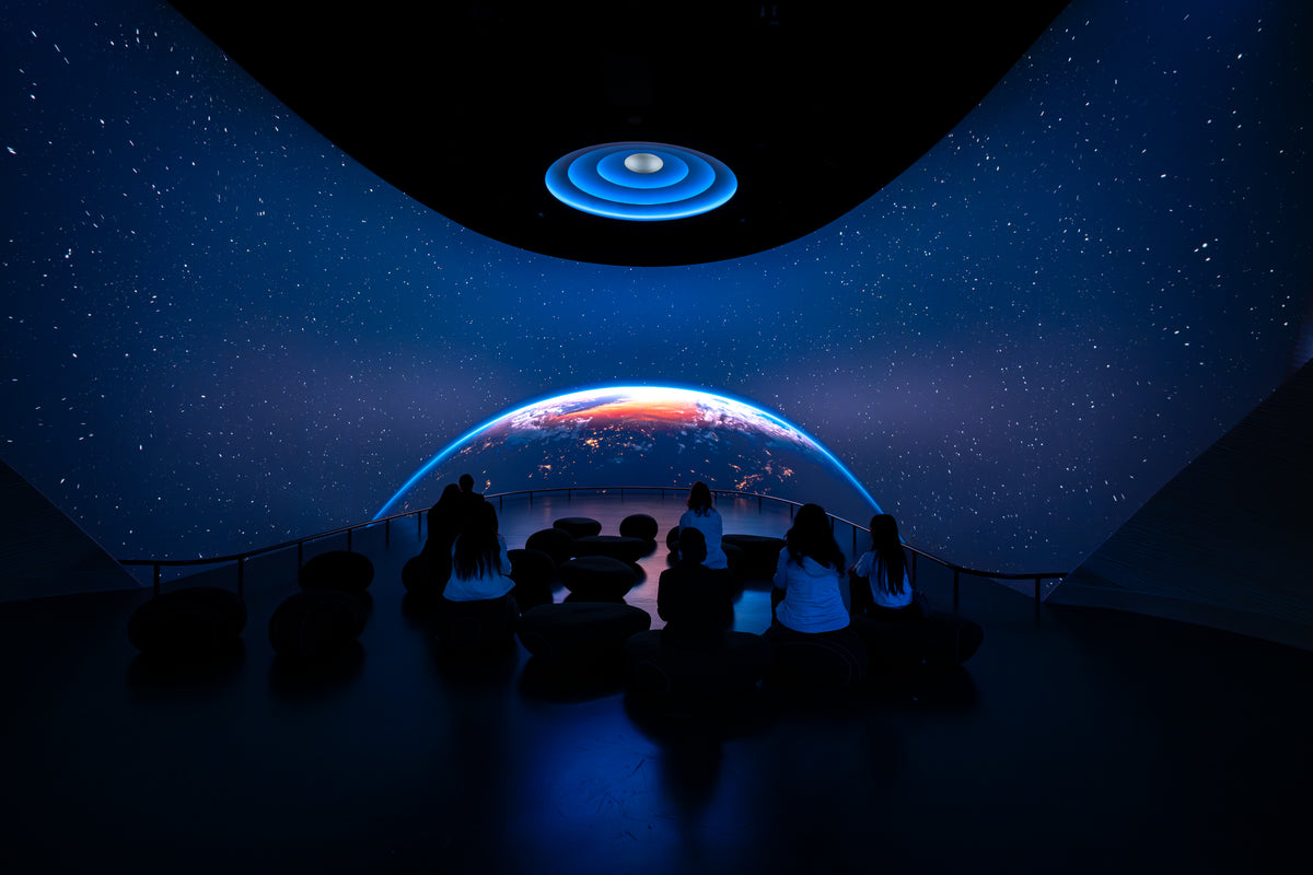 Natural History Museum Abu Dhabi: Life's Journey