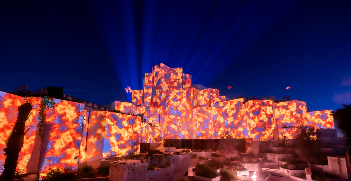 Natural History Museum Abu Dhabi Opening Ceremony