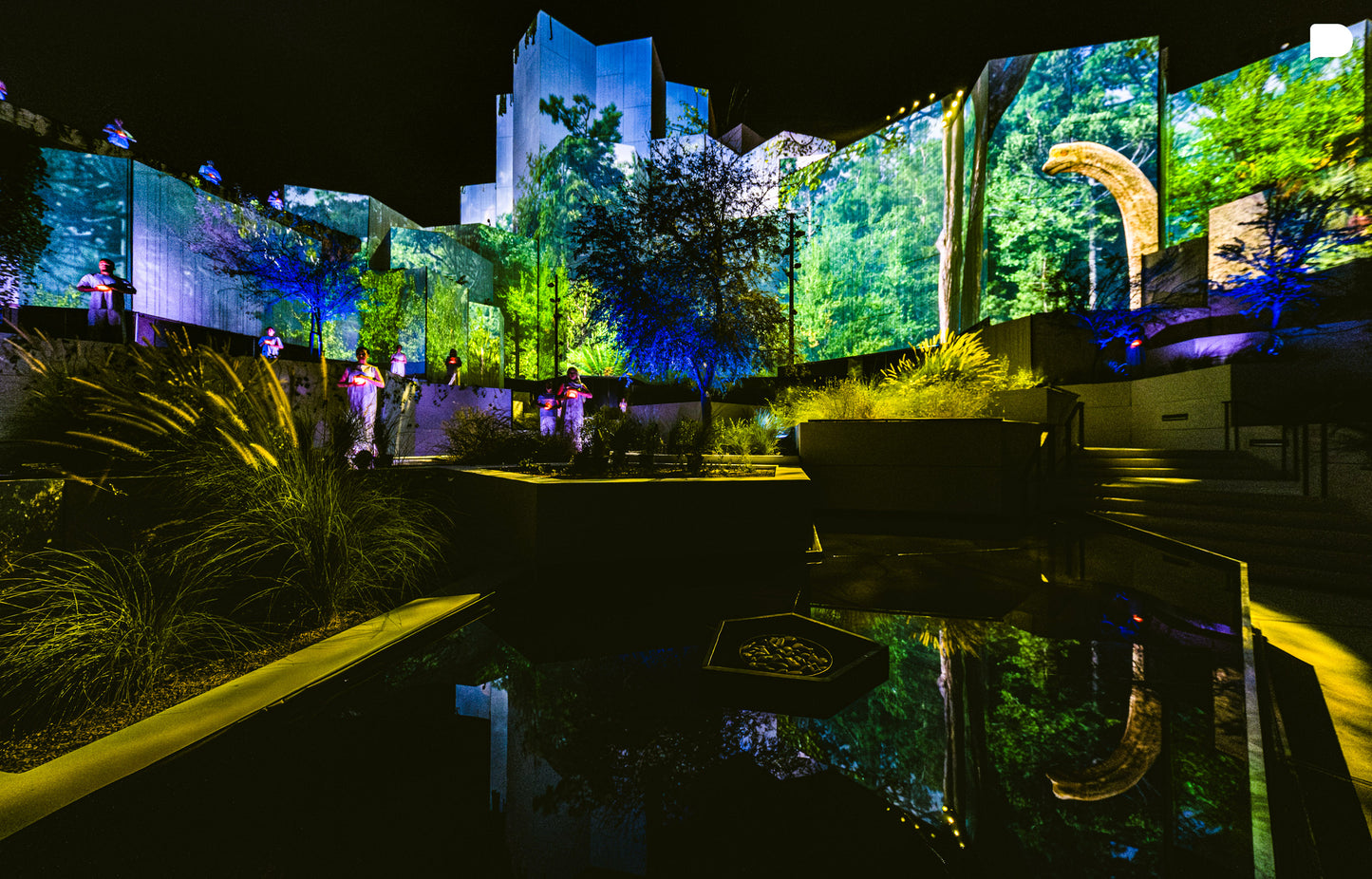 Natural History Museum Abu Dhabi Opening Ceremony