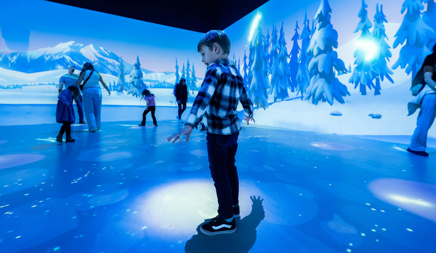 Animation Adventure with Molly of Denali