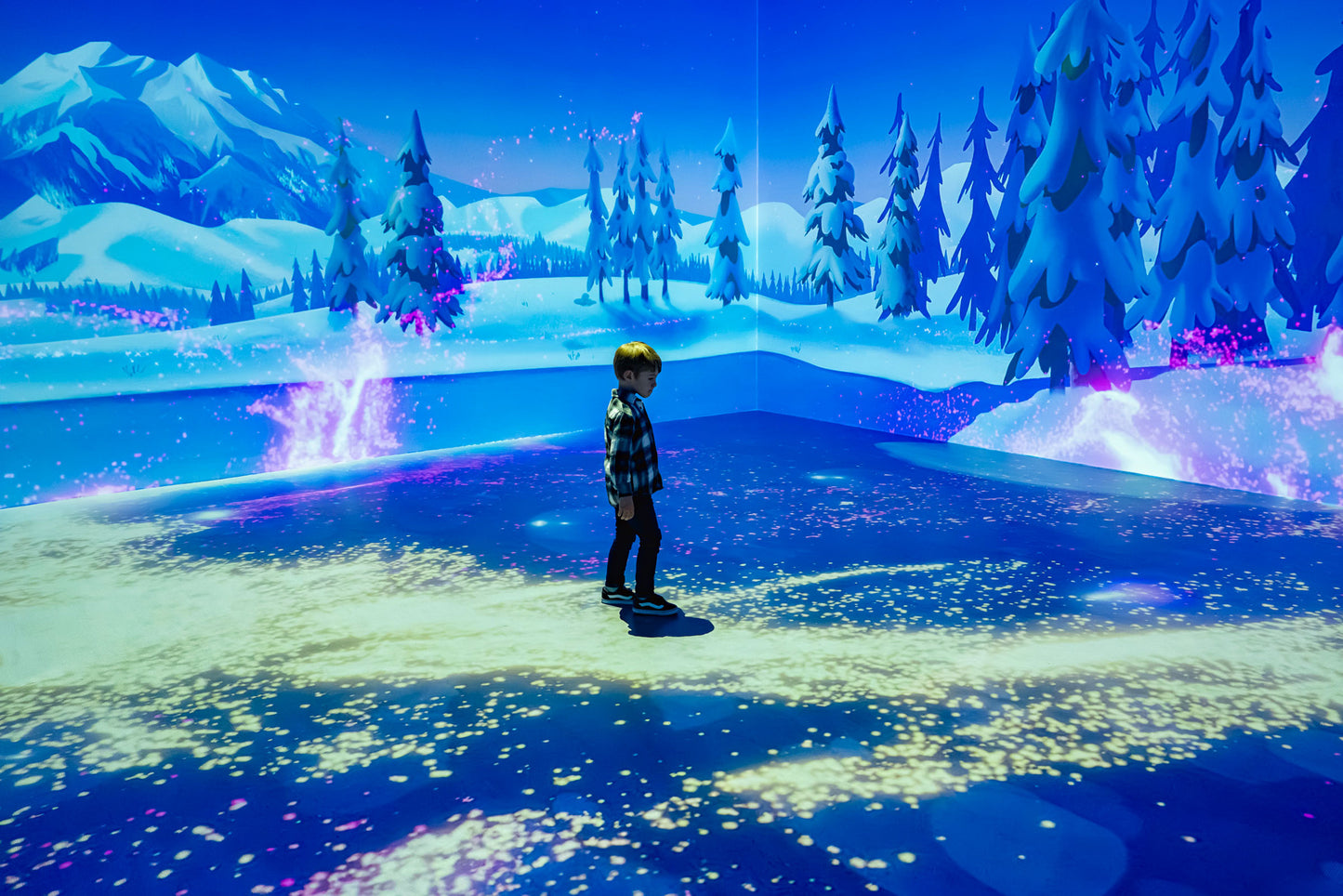 Animation Adventure with Molly of Denali